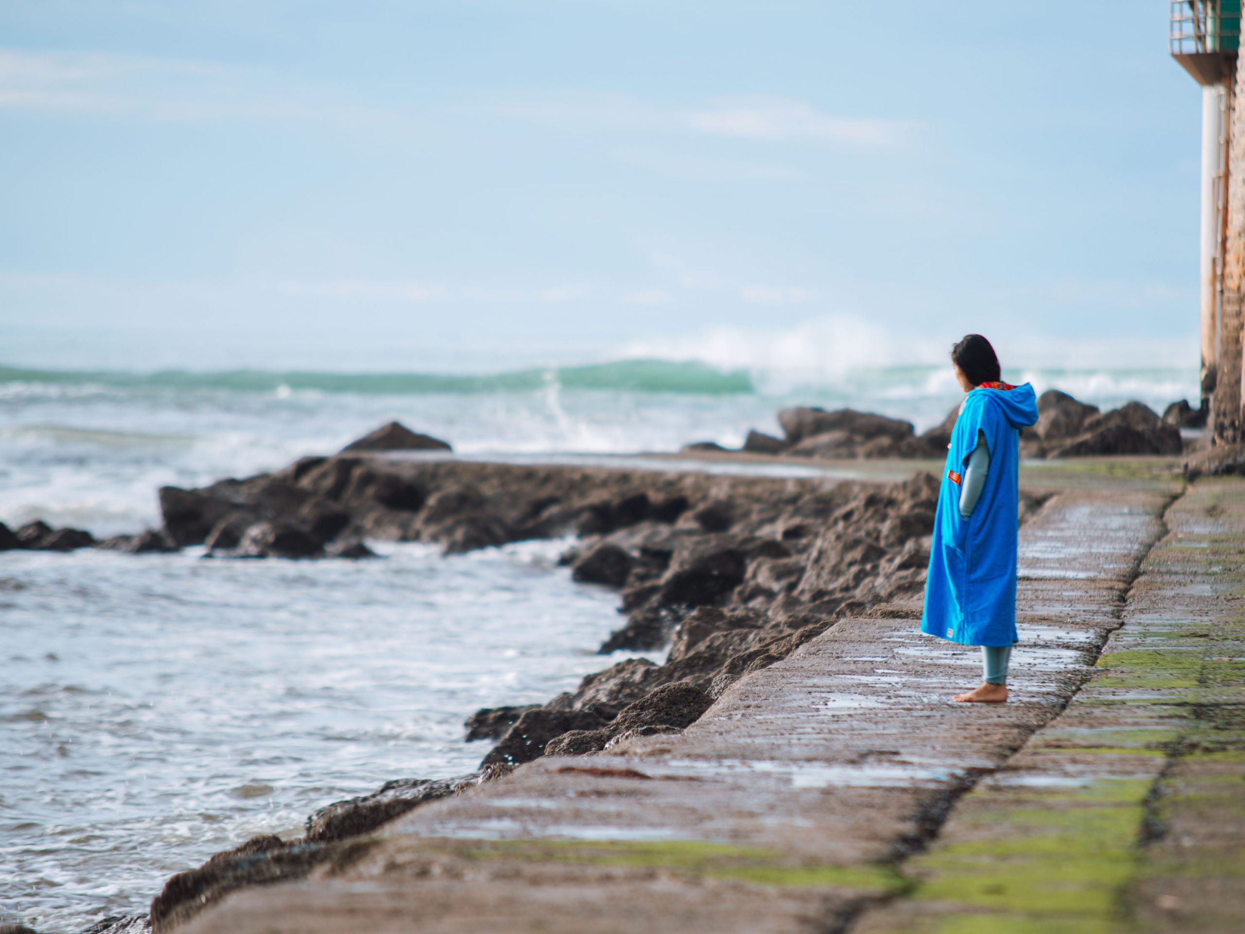 sud landes production